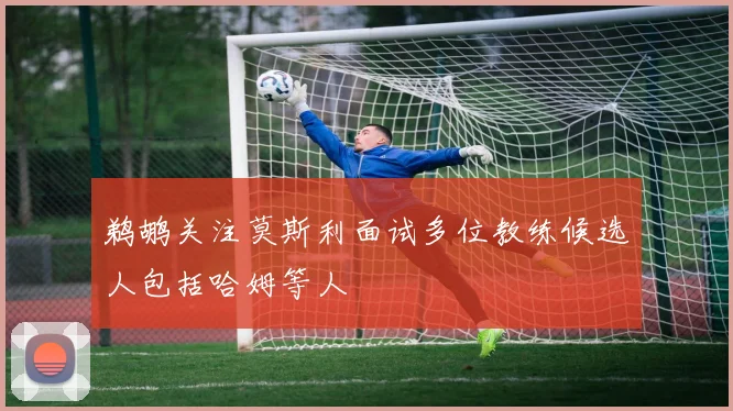 鹈鹕关注莫斯利面试多位教练候选人包括哈姆等人
