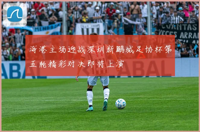 海港主场迎战深圳新鹏城足协杯第五轮精彩对决即将上演